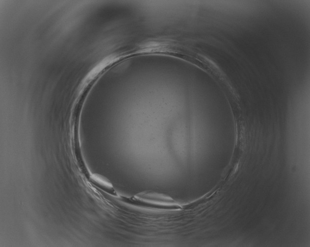 X0000085831419200703161312