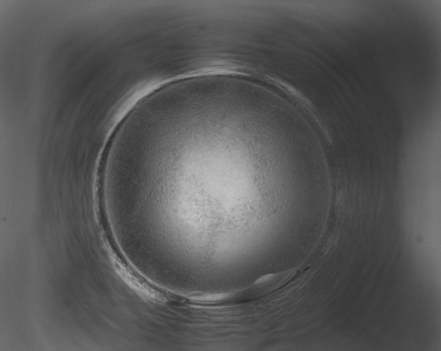 X0000085831423200703161312