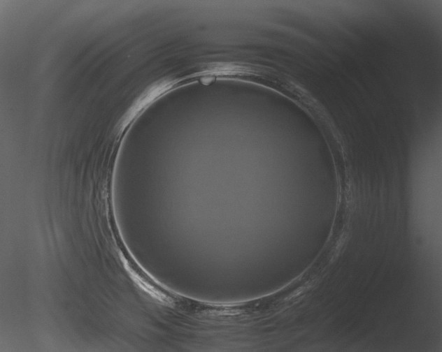 X0000085831425200703161312