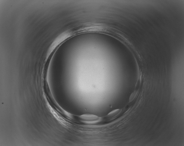 X0000085831426200703161312