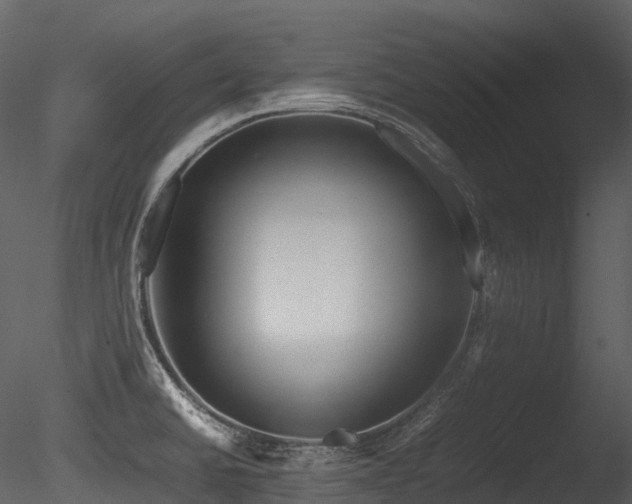 X0000085831430200703161312
