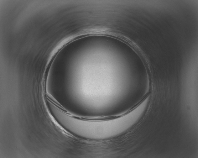 X0000085831432200703161312