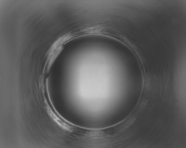 X0000085831434200703161312
