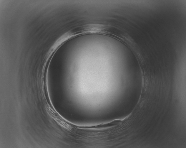 X0000085831435200703161312