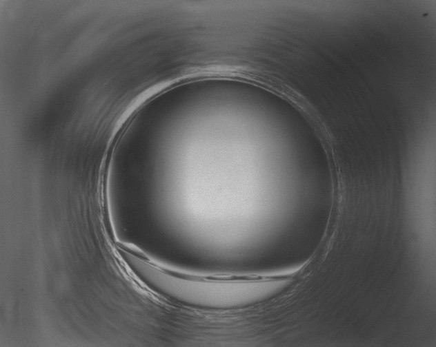 X0000085831436200703161312