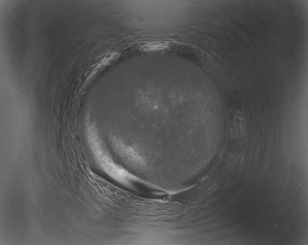 X0000085831441200703161311