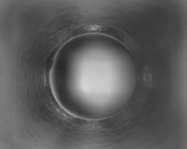 X0000085831442200703161311