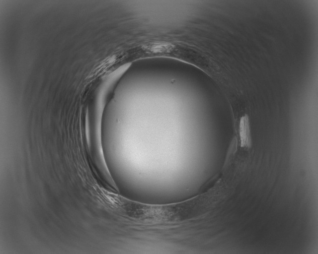 X0000085831443200703161311