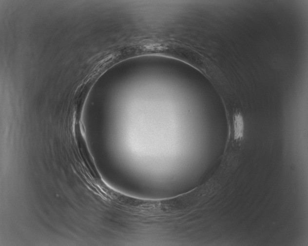 X0000085831444200703161311
