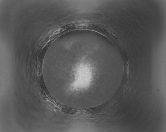 X0000085831445200703161311