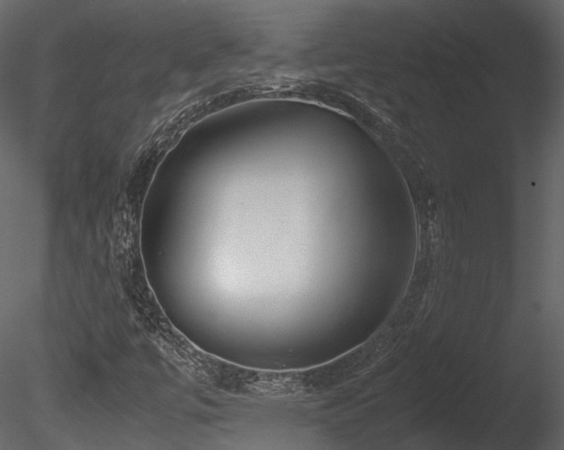 X0000085831447200703161311