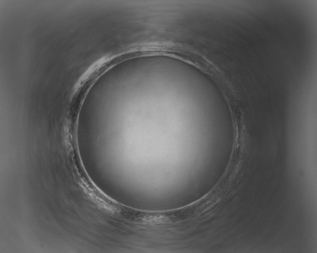 X0000085831454200703161311