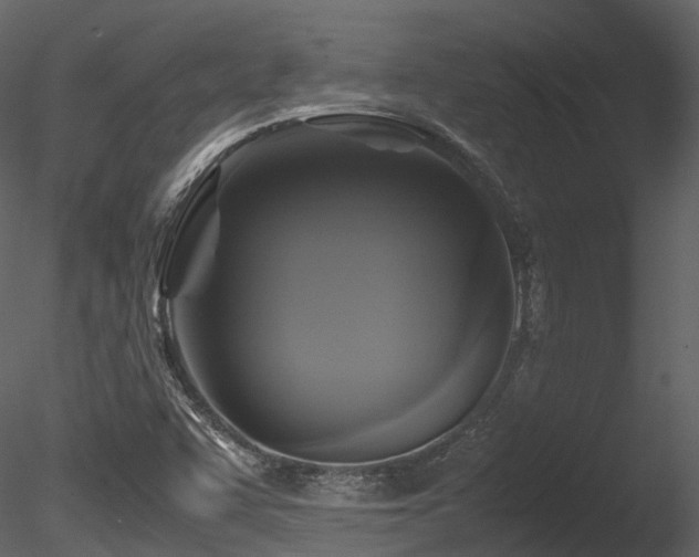 X0000085831455200703161311
