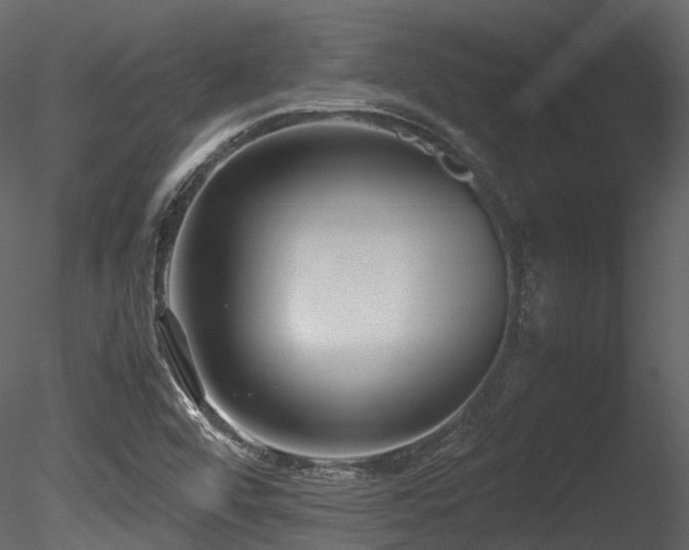 X0000085831456200703161311
