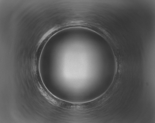 X0000085831458200703161311