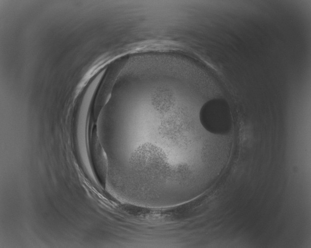 X0000085831459200703161311