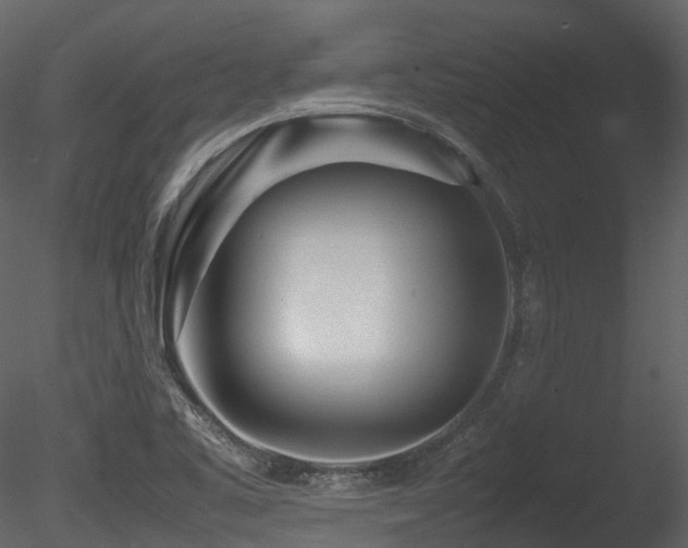 X0000085831461200703161311