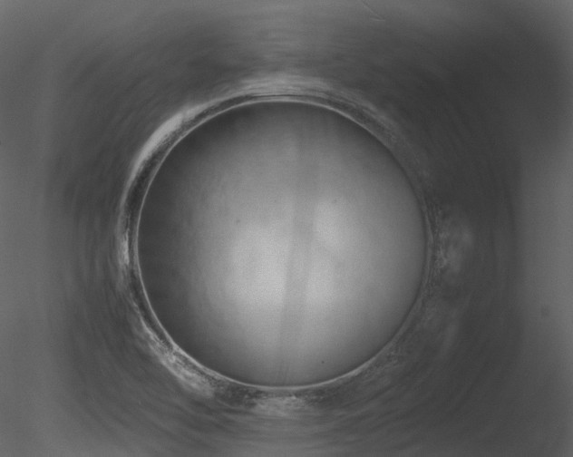 X0000085831462200703161311