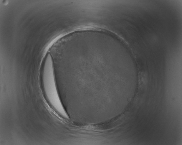 X0000085831463200703161311