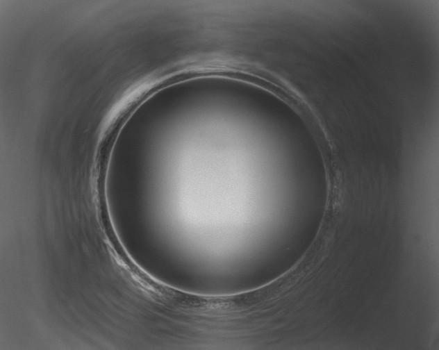 X0000085831464200703161311