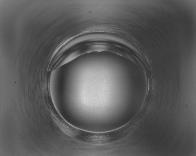 X0000085831465200703161311
