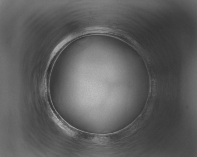X0000085831466200703161311