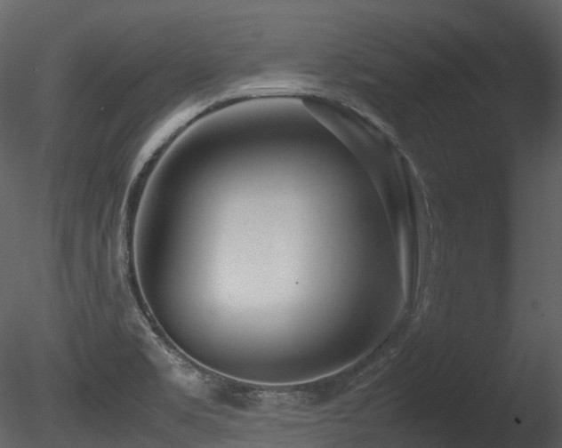 X0000085831469200703161311