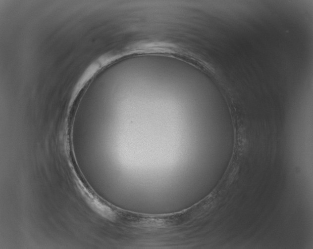 X0000085831470200703161311