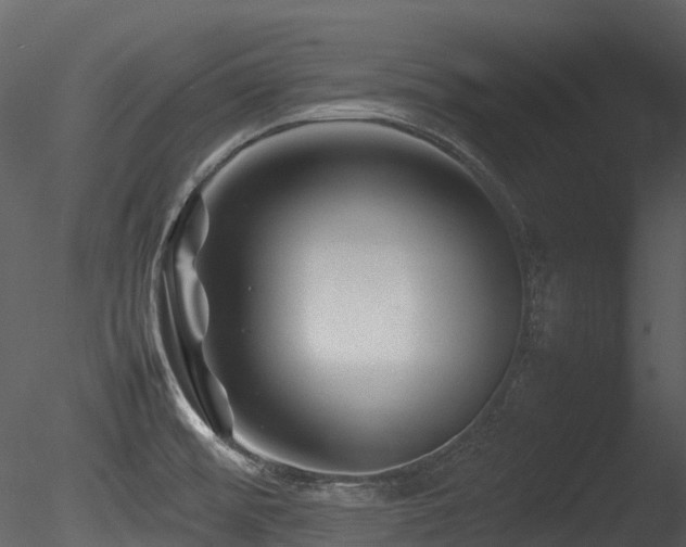 X0000085831476200703161311
