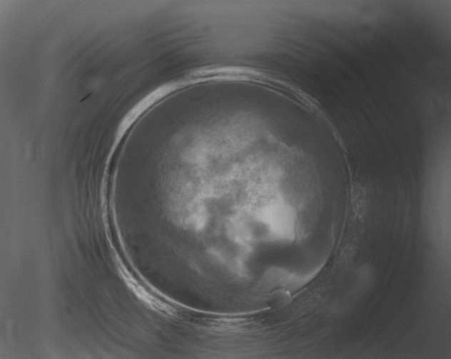 X0000085831482200703161310