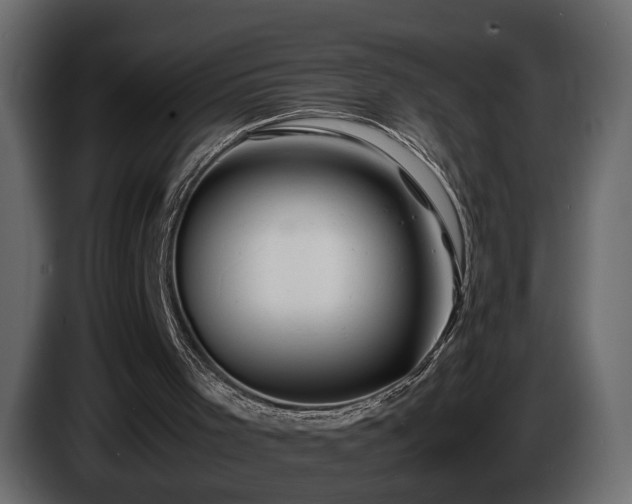 X0000085830001200703231430