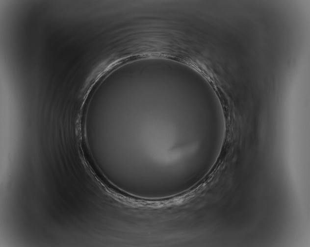 X0000085830002200703231430