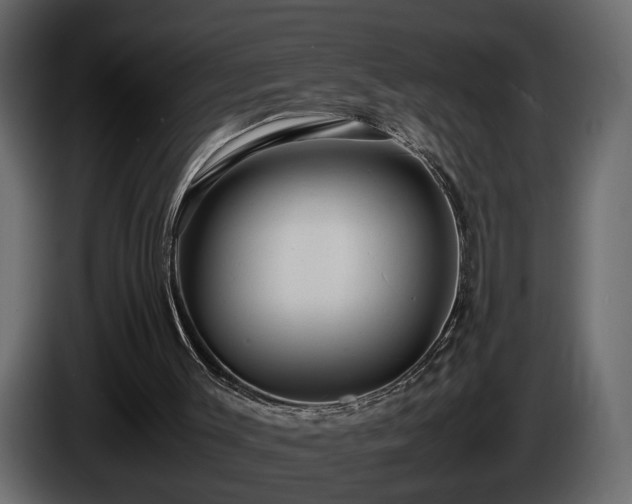 X0000085830003200703231430