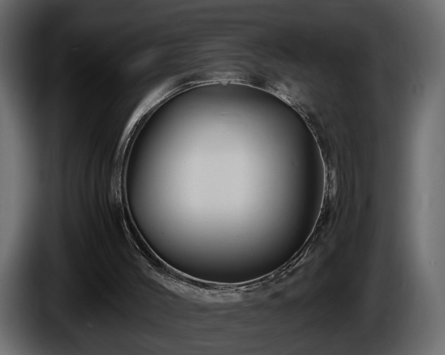 X0000085830004200703231430