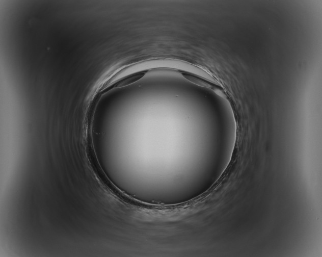 X0000085830005200703231430