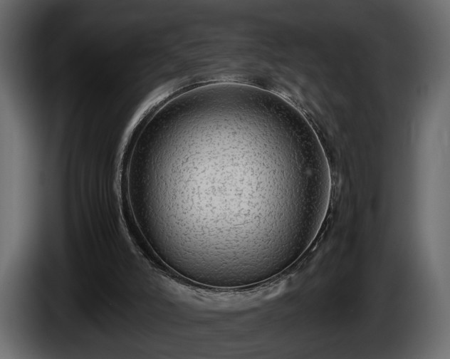 X0000085830006200703231430