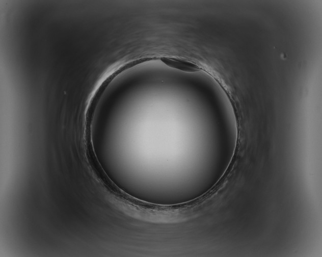 X0000085830008200703231430