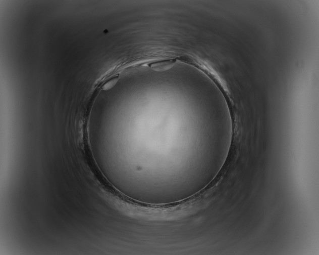 X0000085830010200703231430