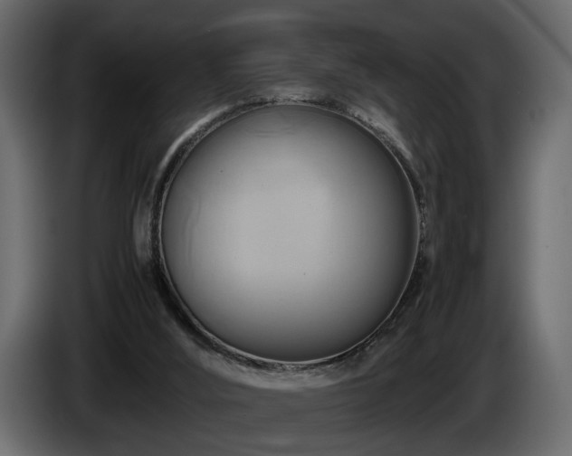 X0000085830012200703231430