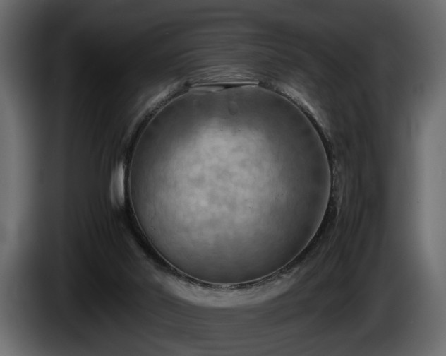 X0000085830014200703231430