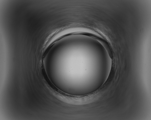 X0000085830015200703231430