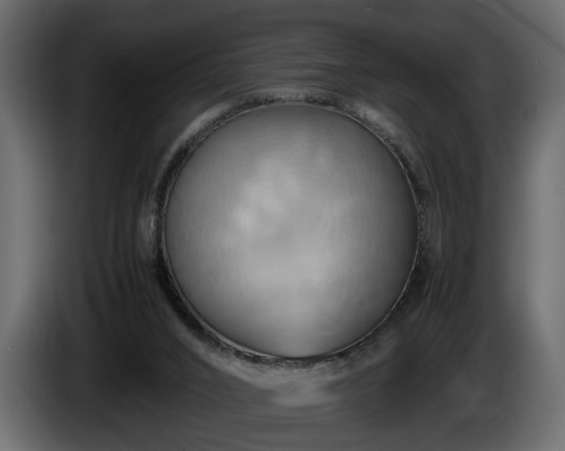 X0000085830016200703231430