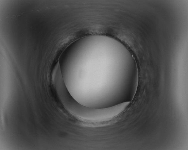 X0000085830017200703231430