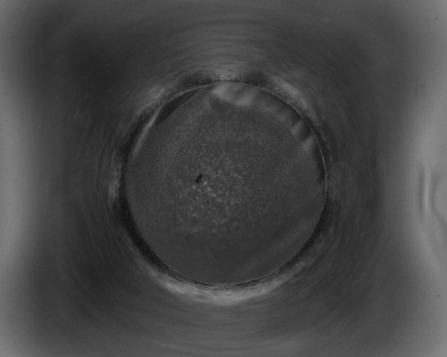 X0000085830018200703231430