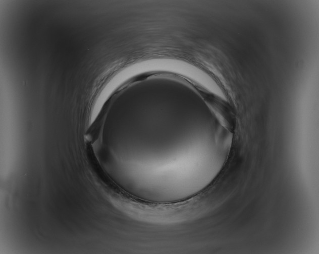 X0000085830019200703231430