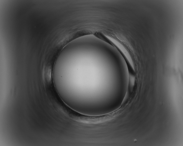 X0000085830021200703231430