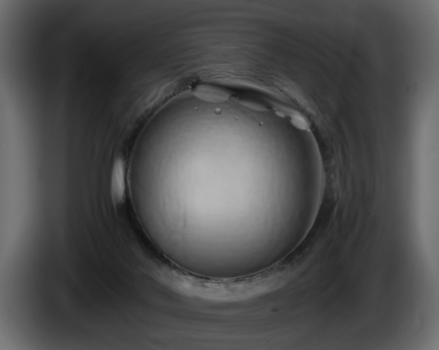 X0000085830022200703231430