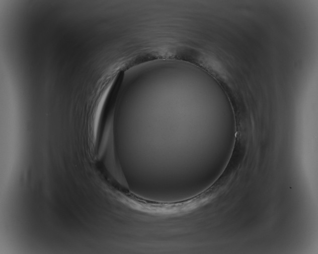 X0000085830023200703231430