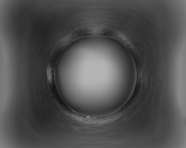 X0000085830026200703231430