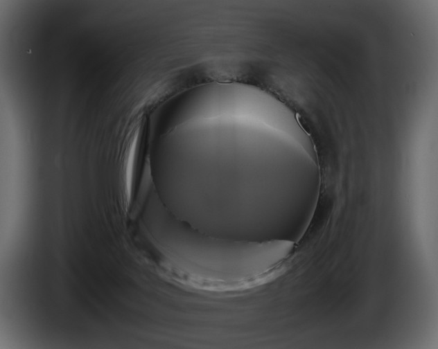 X0000085830027200703231430